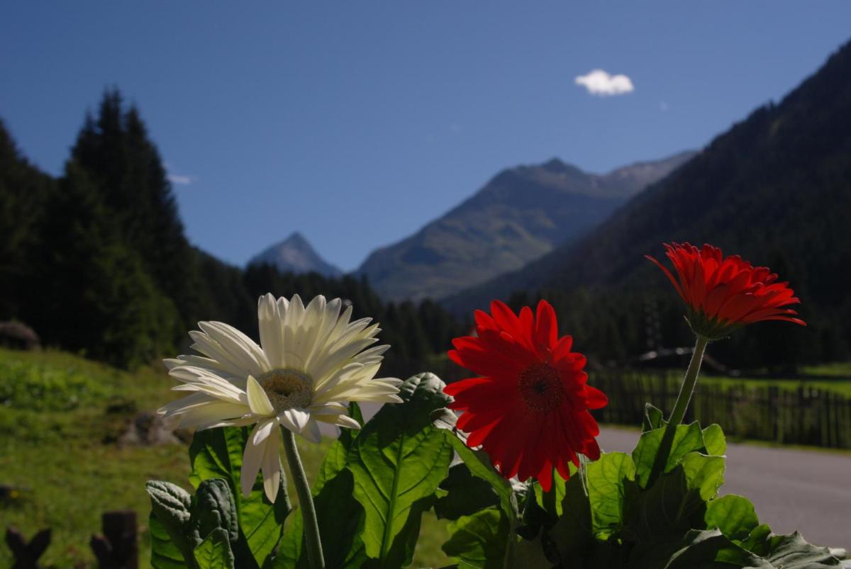 Apartment Fernerkogel - Housity