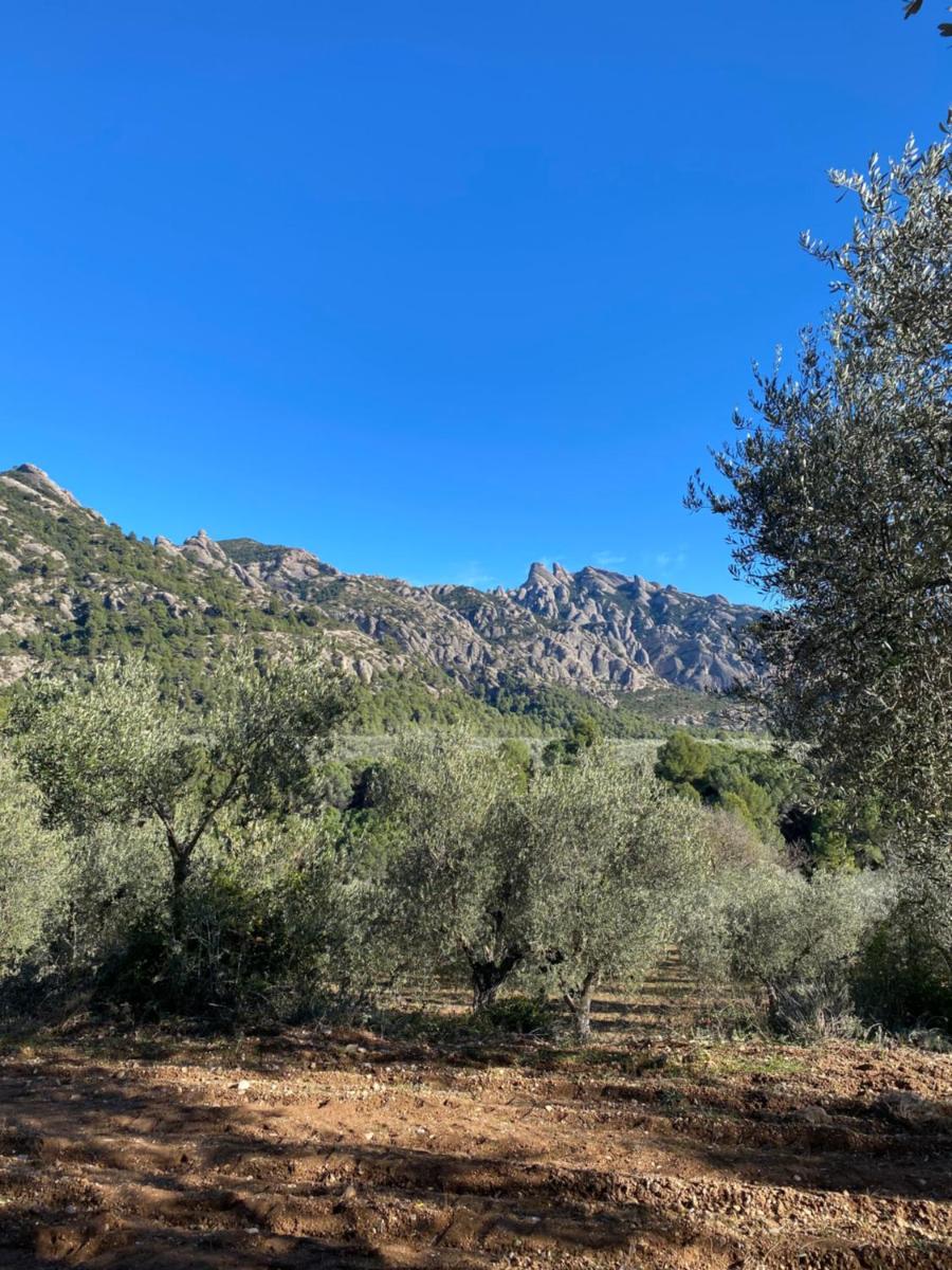 Casita de piedra en el Parque Natural de Montserrat - Housity