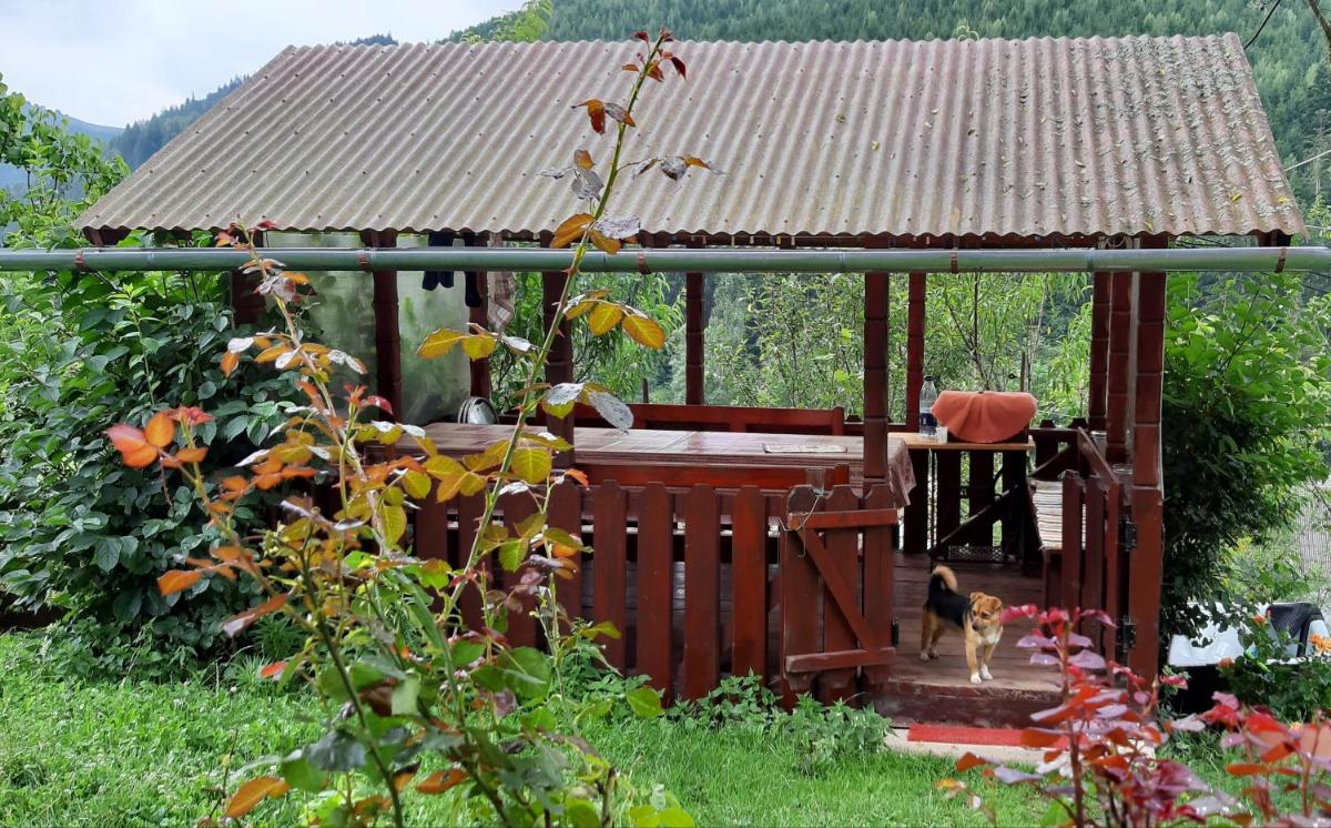 Cabana Raluca - Housity
