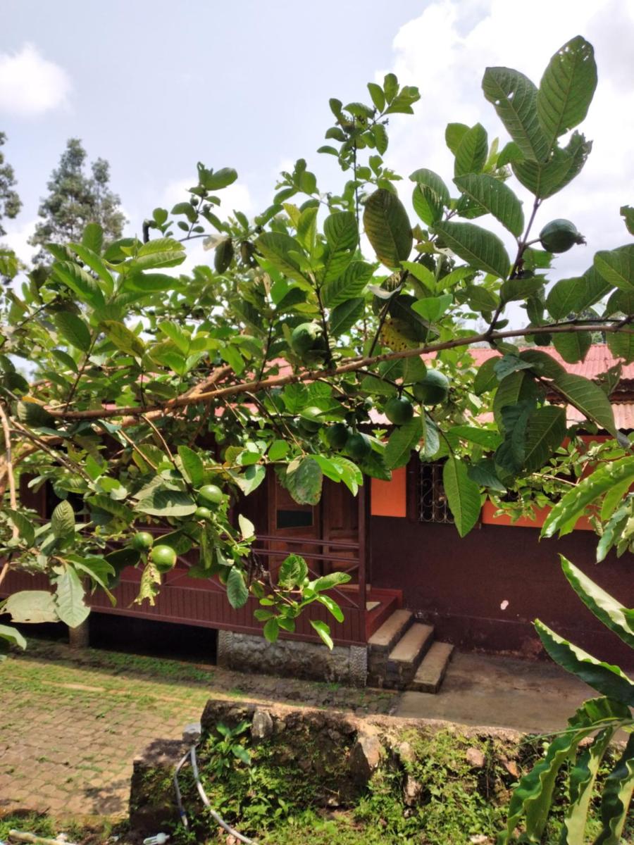 Suitetrails - Casa modelo Colonial - Guest House Quinta Natural