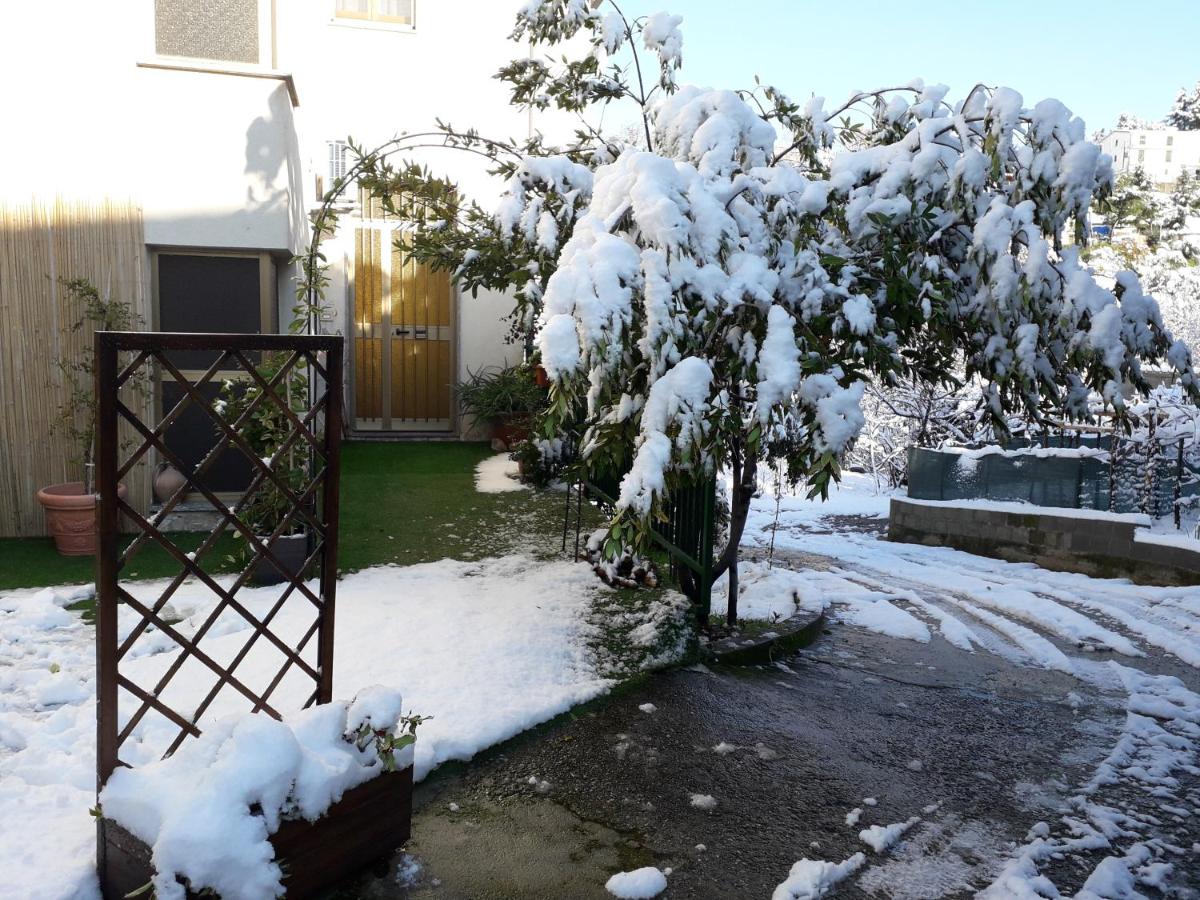 House Rose - Housity