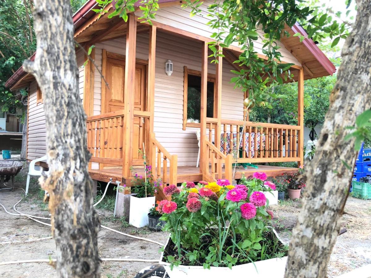 caunos bungalow - Housity