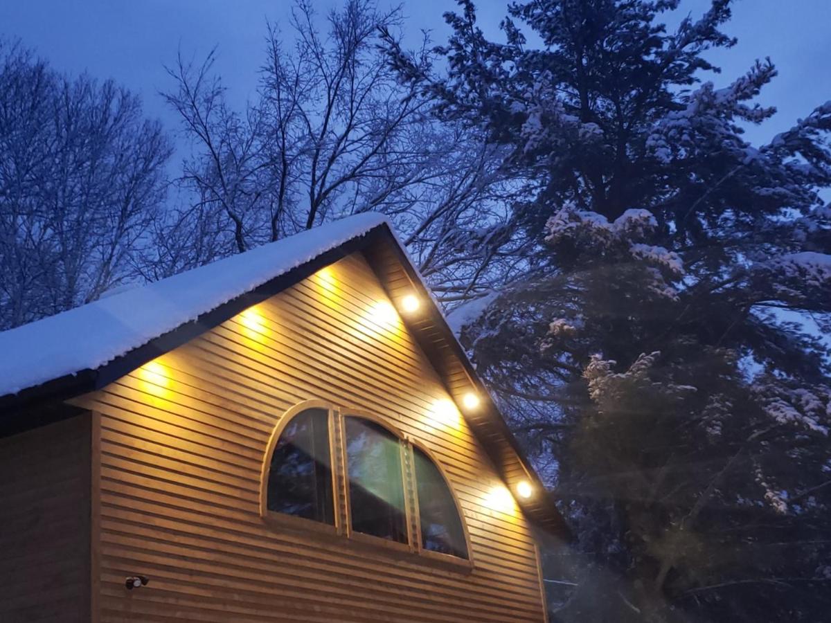 Le Nid doré sur le lac (Golden Nest on the lake) - Housity