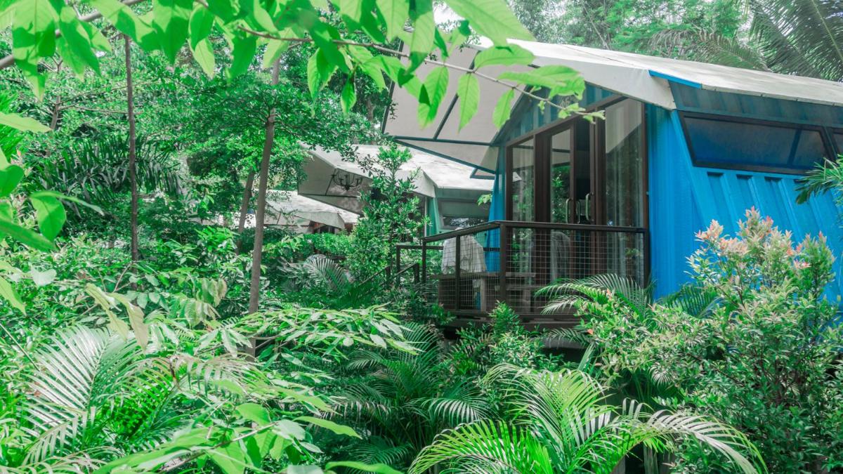 Hau Eco Lodges Citumang Pangandaran - Housity