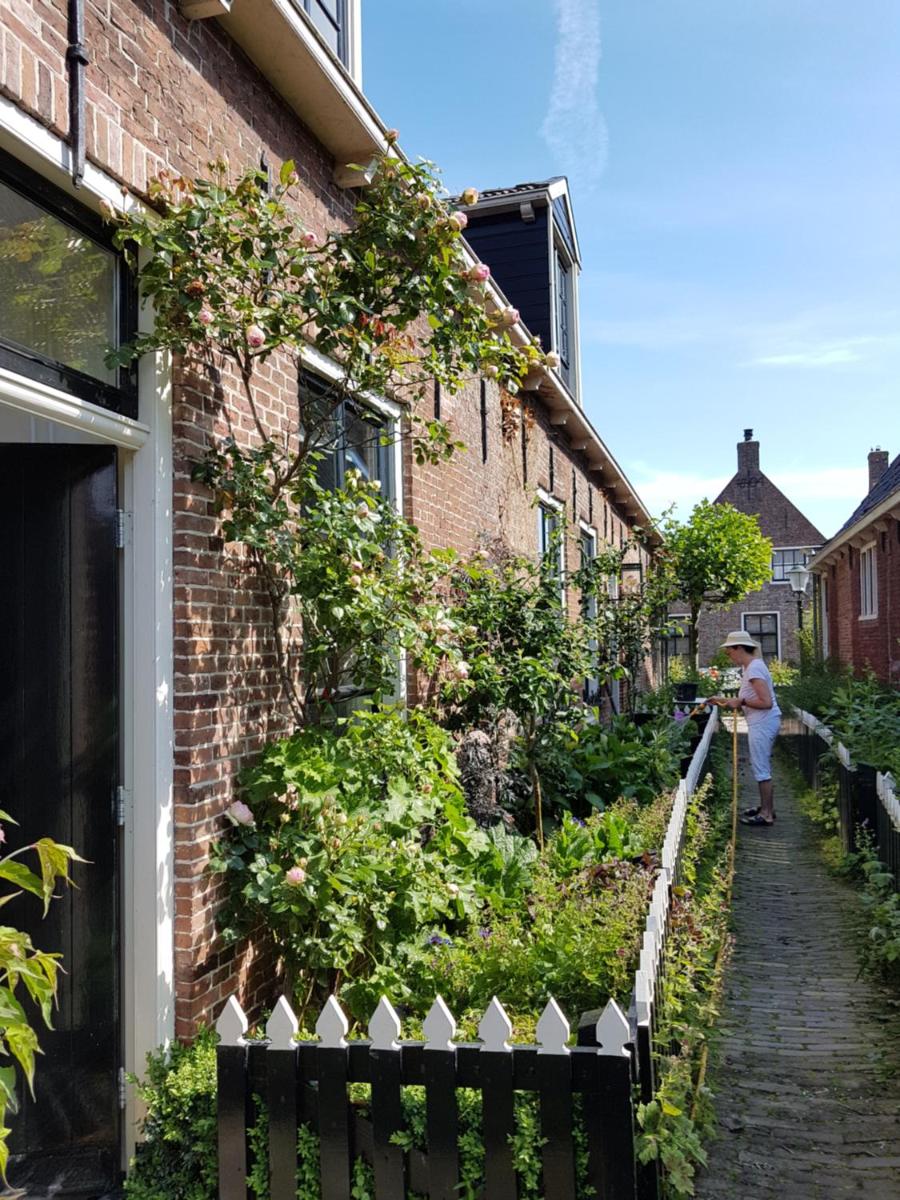 "Het Steechje" in Ie bij Schiermonnikoog en Ameland - Housity