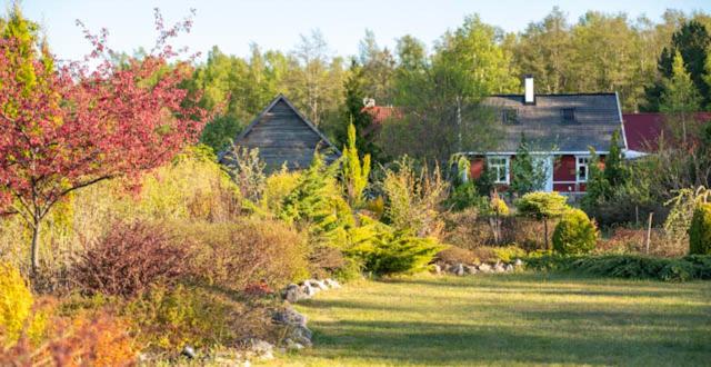 Hundi puhkemaja - Housity
