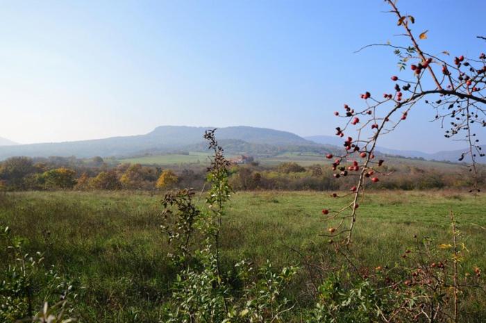 Zöldház magánszállás - Housity