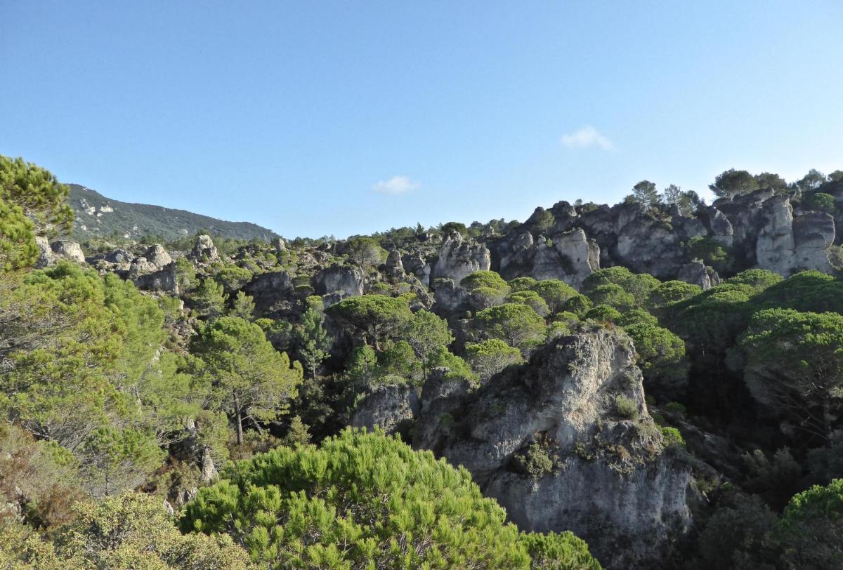 Paysage naturel près de l'hôtel