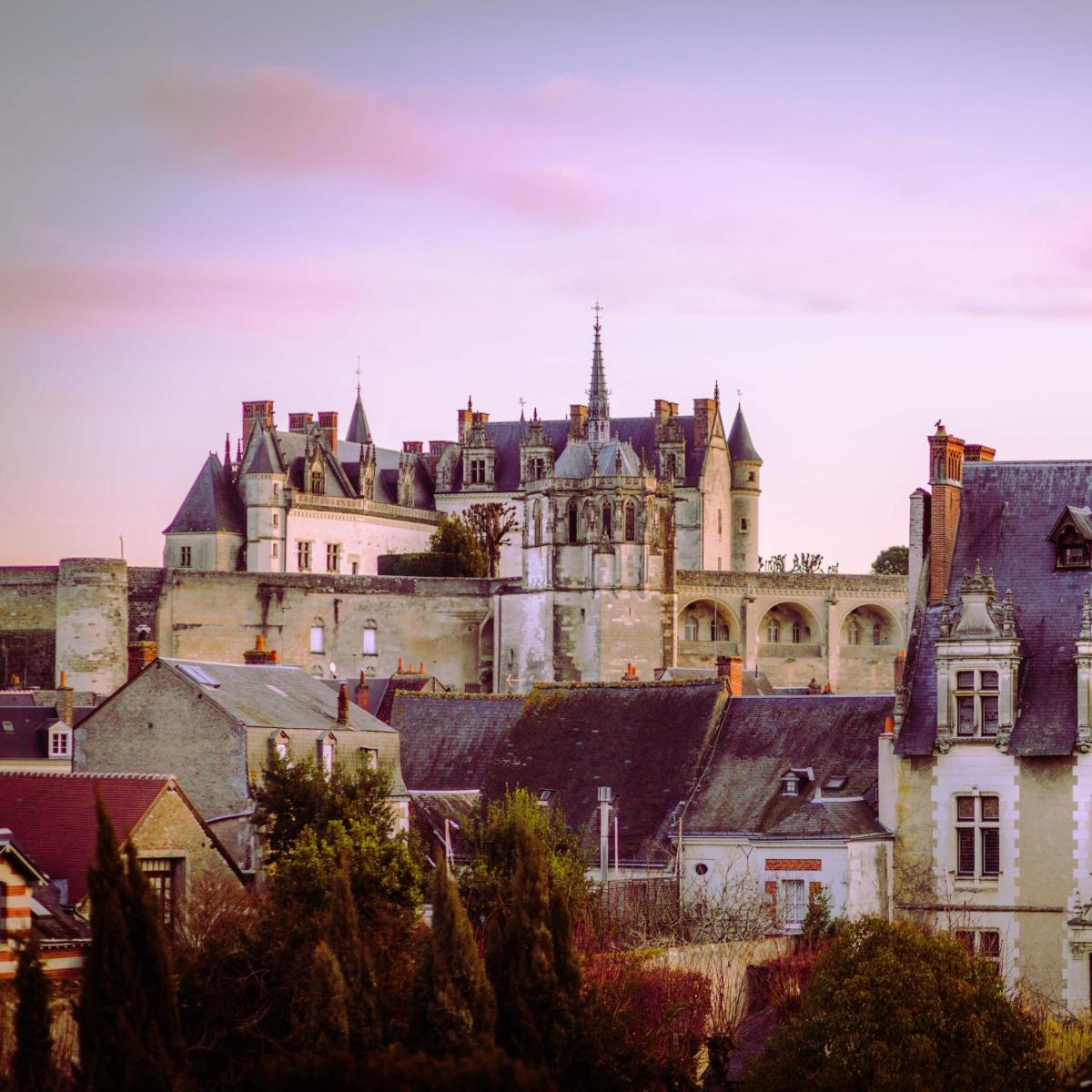 Vue générale sur Amboise ou vue de la ville depuis l'hôtel