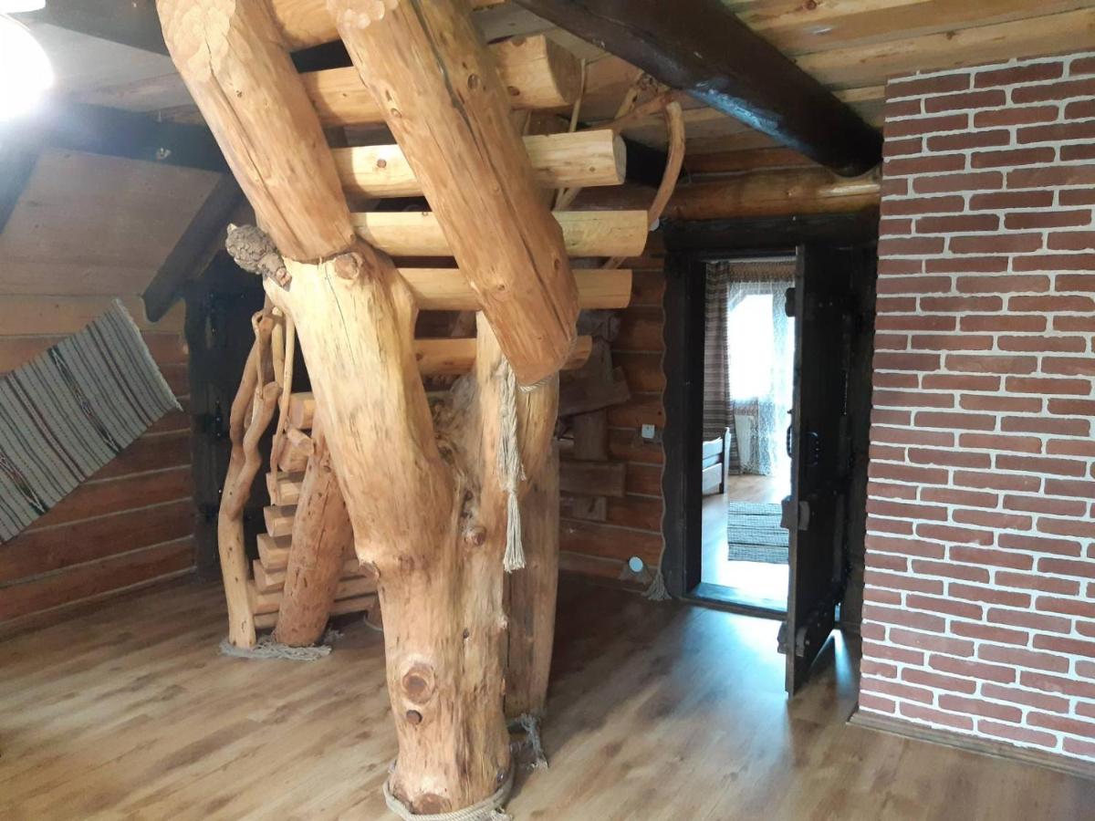 Guest House Dikiy Zrub - Housity
