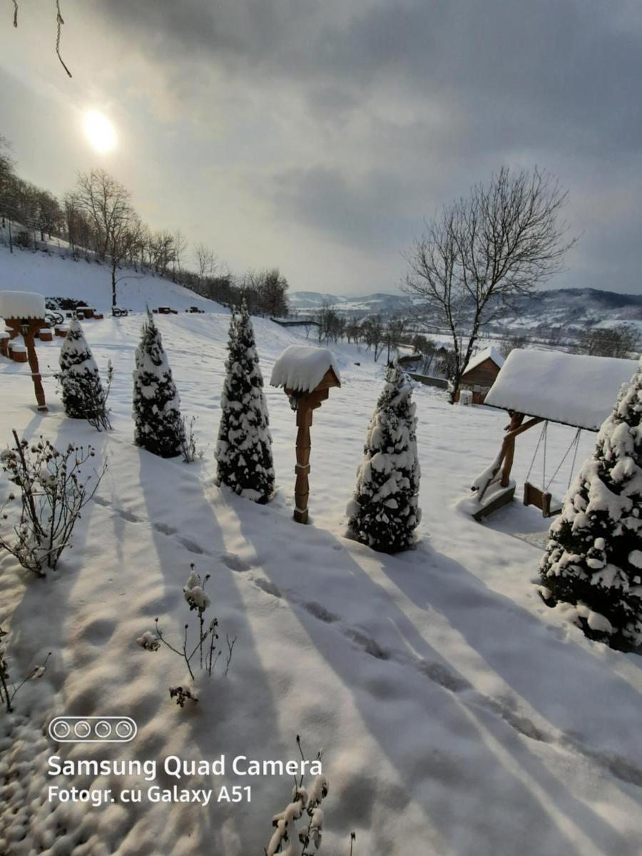 Pensiunea Valea Branzei - Housity