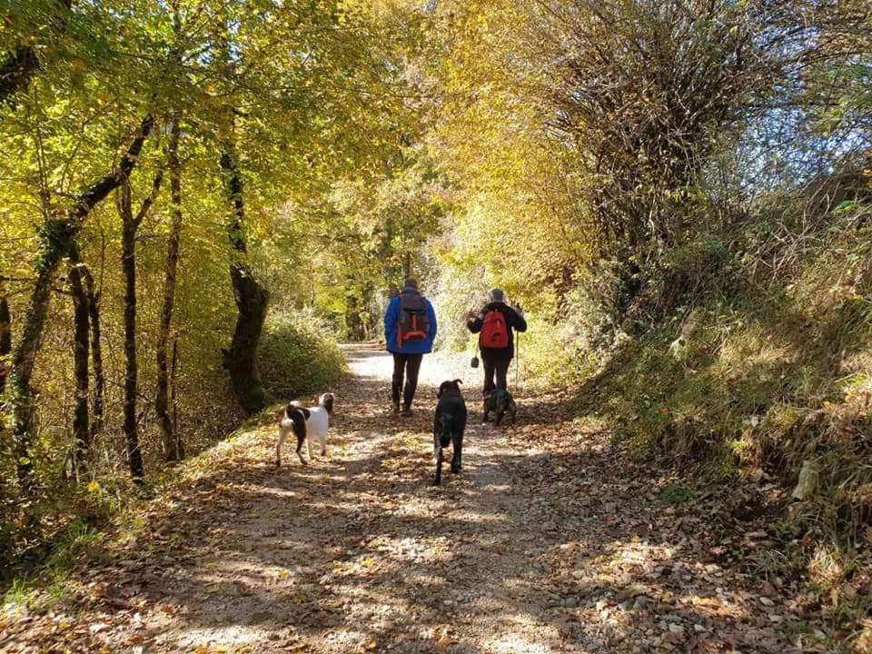 La casa del dog trekking - Housity