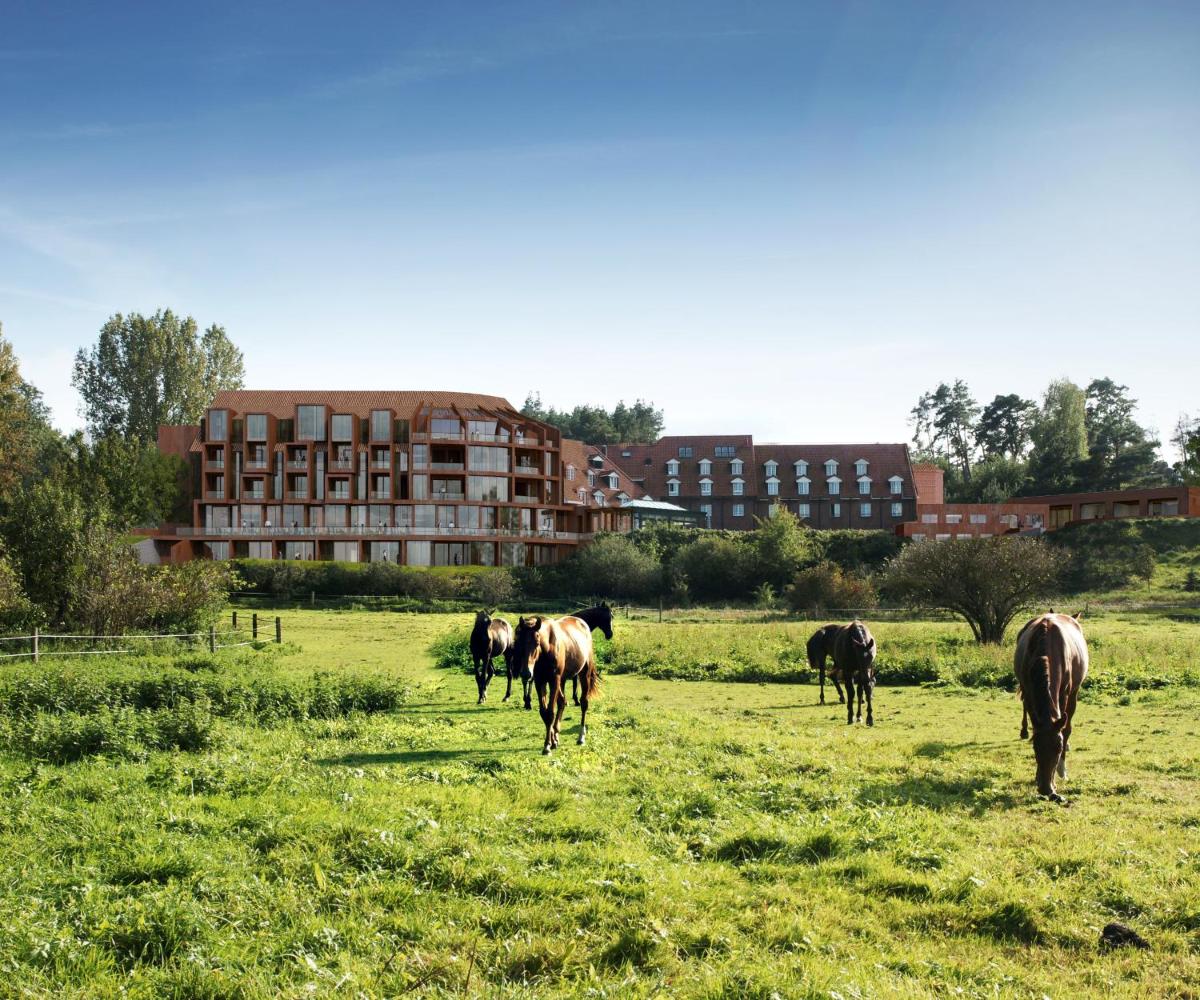 Bornmühle - Housity