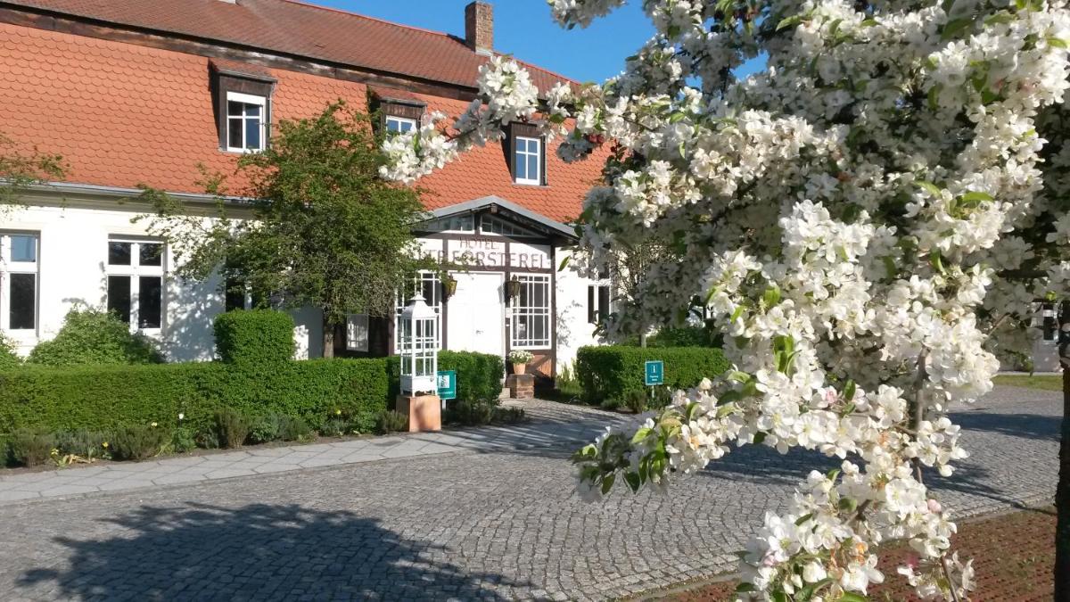 Hotel Alte Försterei - Housity
