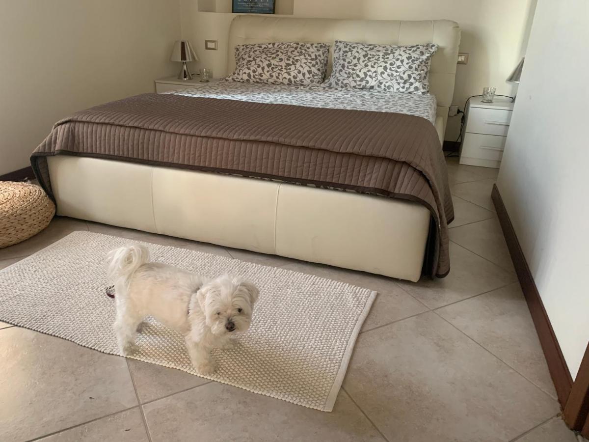 Arona Prestige Apartments - Housity