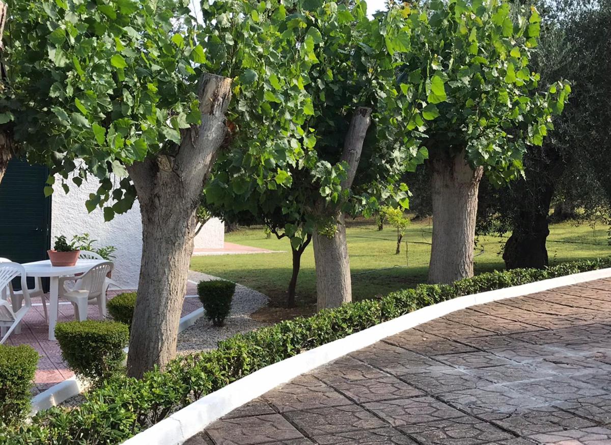 Villa Il Carrubo - Basilicata - Hizvo