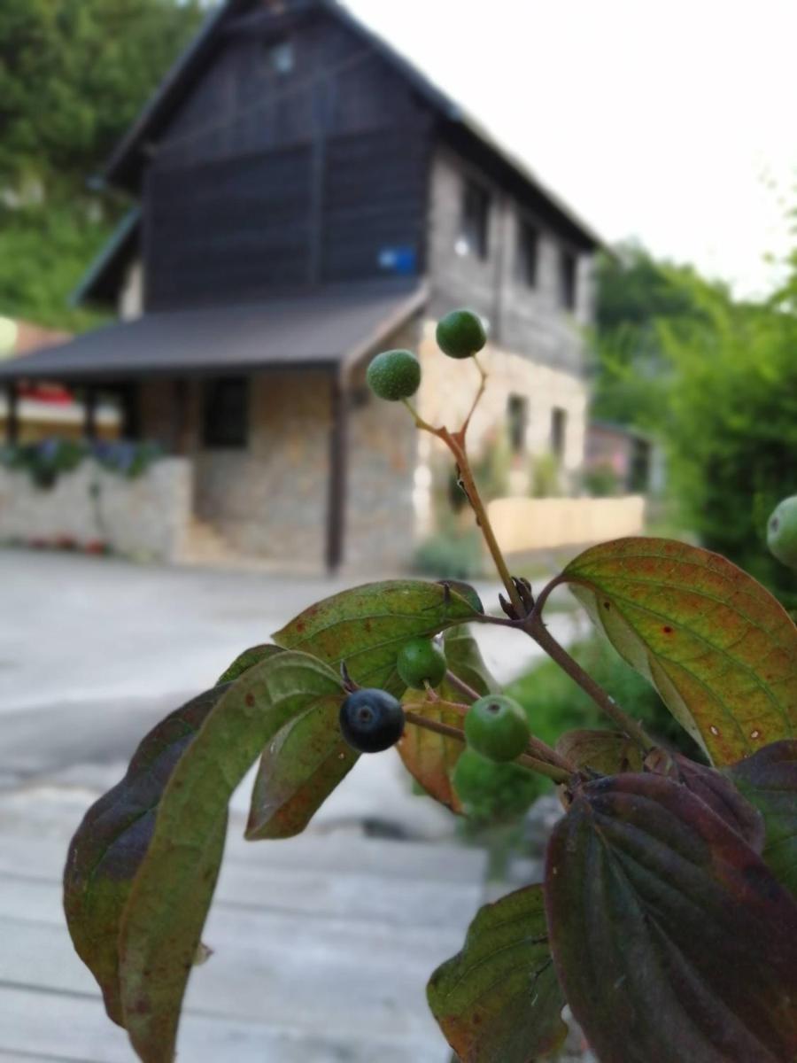 House Marijan - Housity