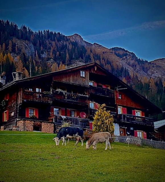 Chalet Sappada - Housity
