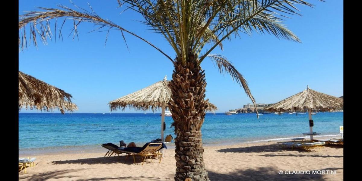 Sharm Dreams Vacation Club - Aqua Park - Housity