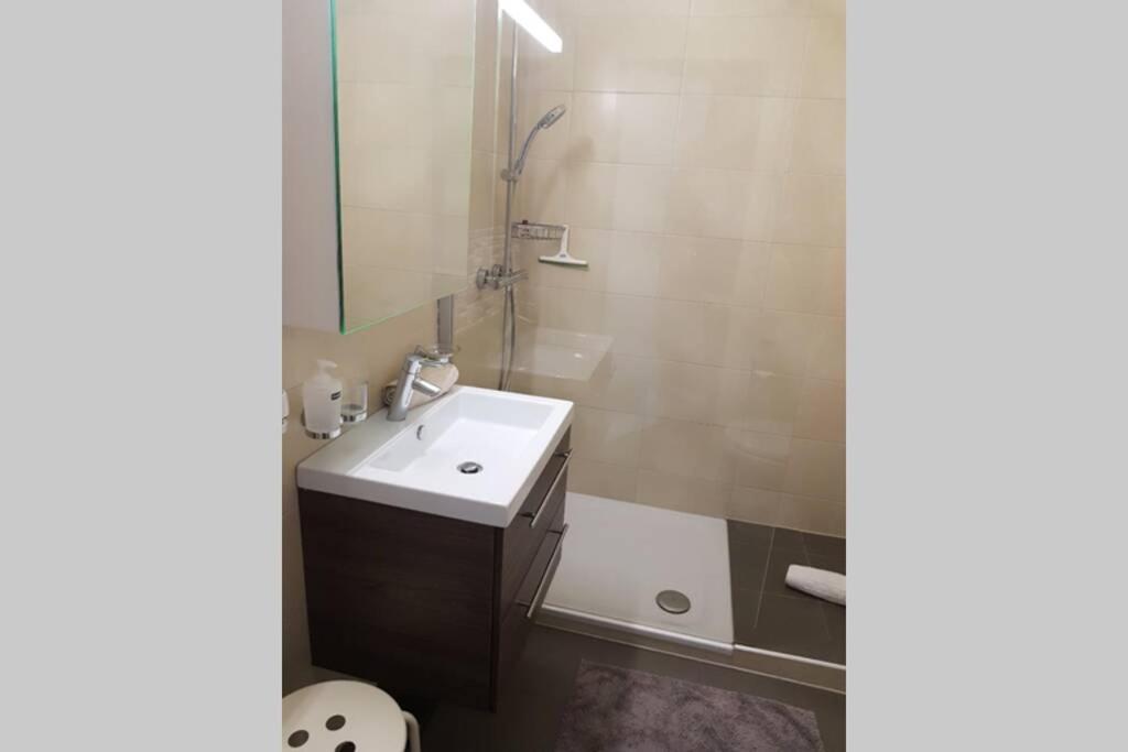 Flaminia Centre du Village - Housity