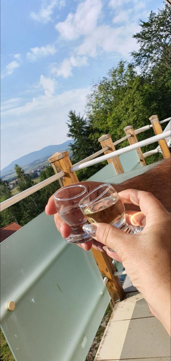 Apartman Stanišič - Housity