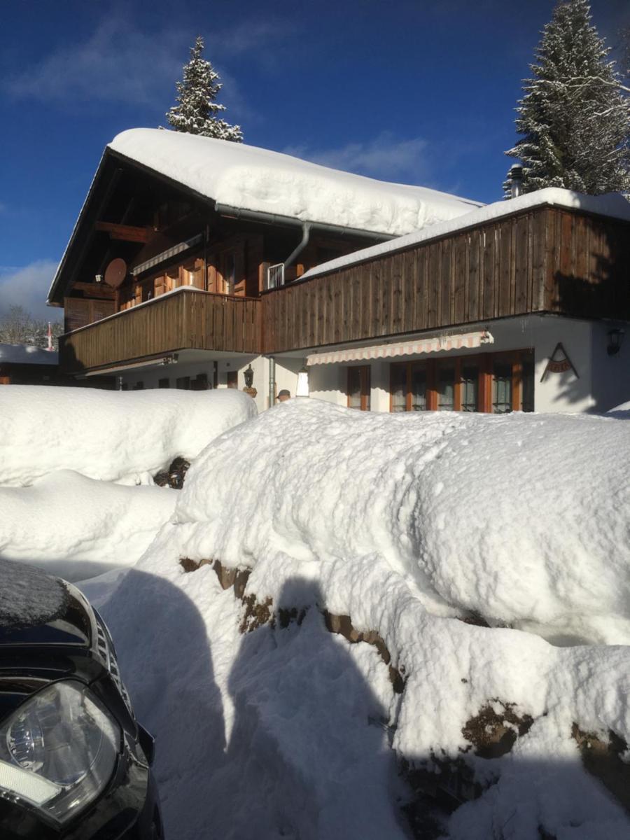 Chalet Erika - Housity