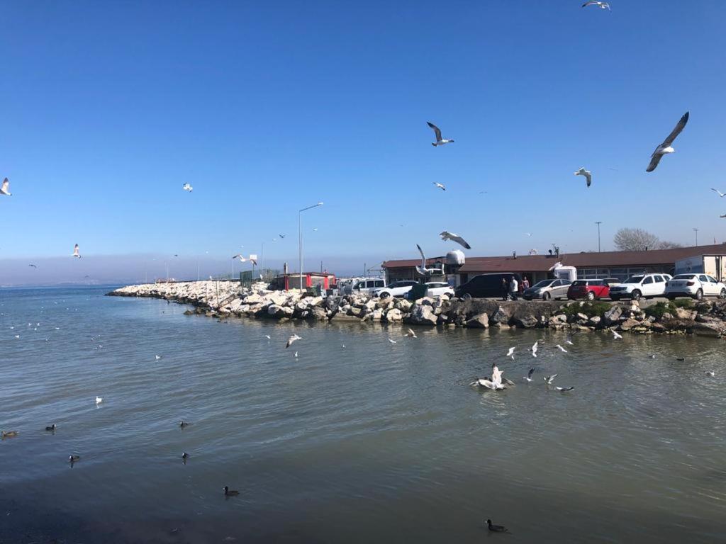 Yalova_Merkez - Housity