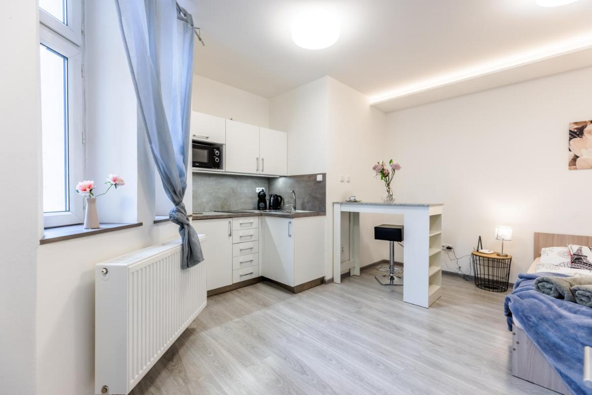 APARTIA Skořepka 15, Brno-center - Housity