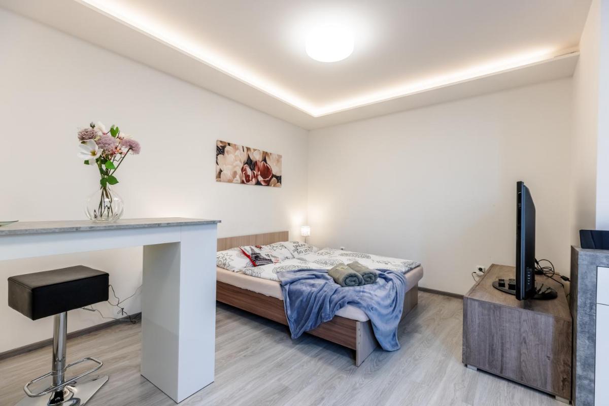 APARTIA Skořepka 15, Brno-center - Housity