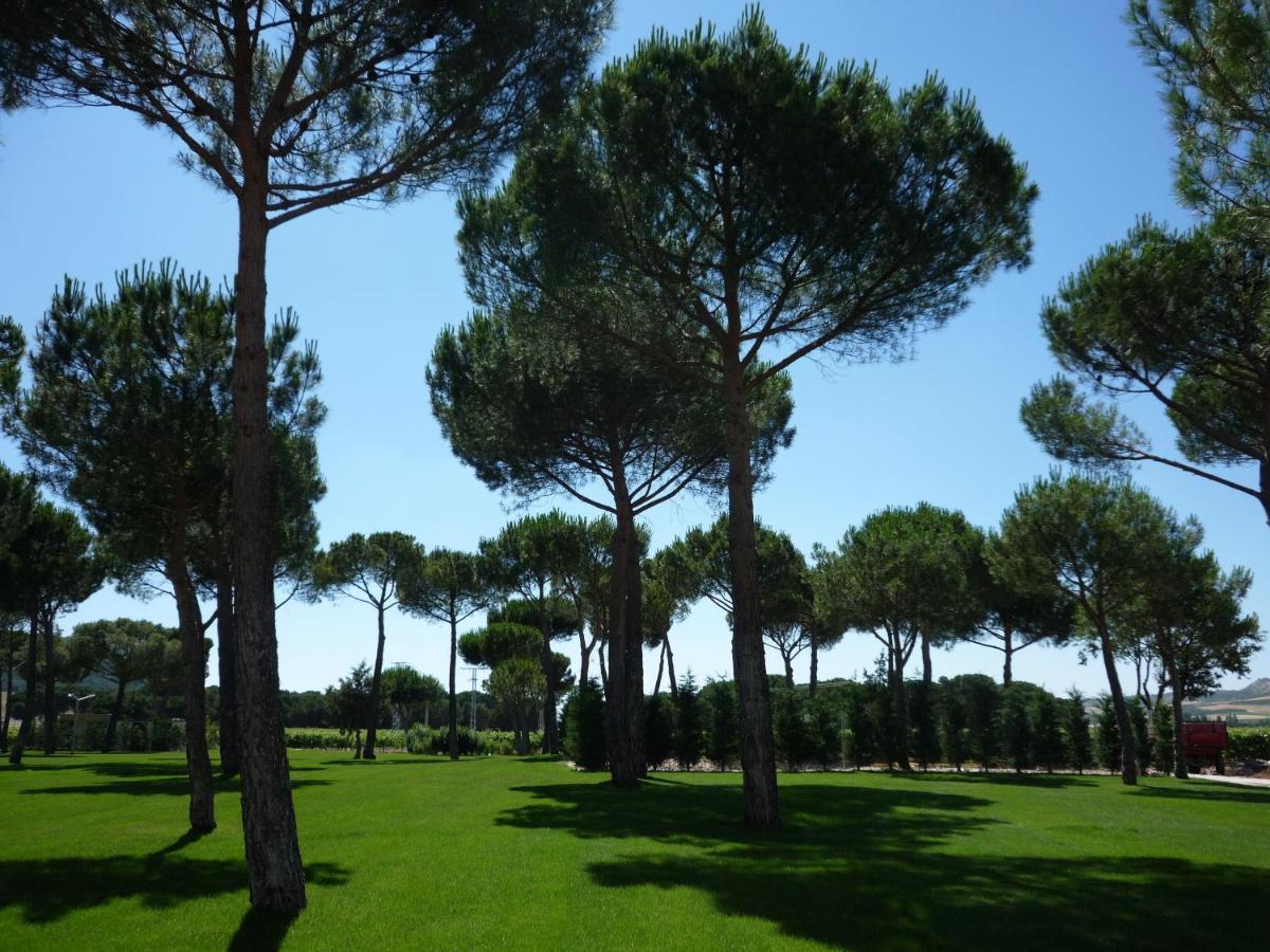 Paisaje cerca de este hotel