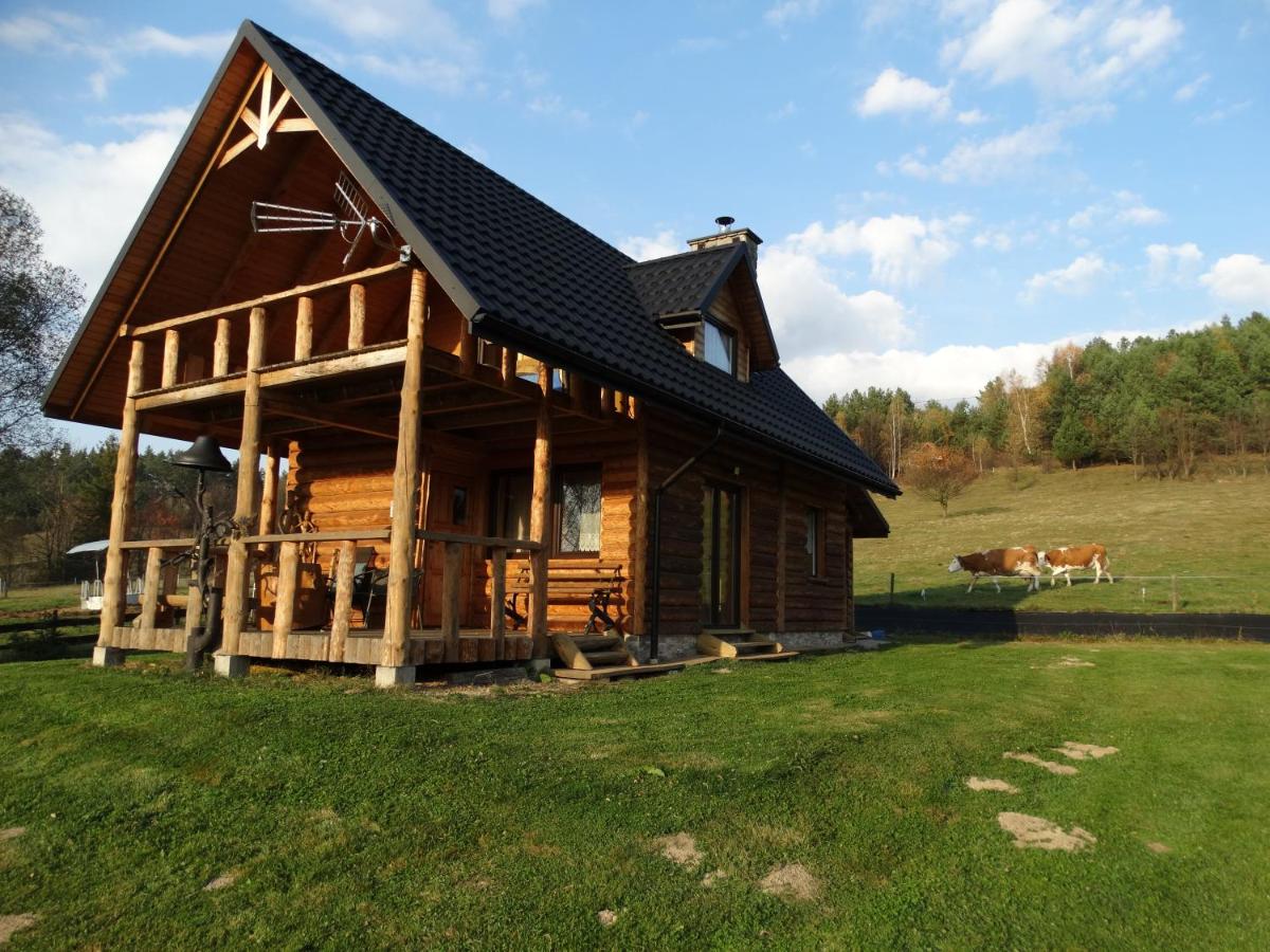 Wilczy Mszaniec - Housity