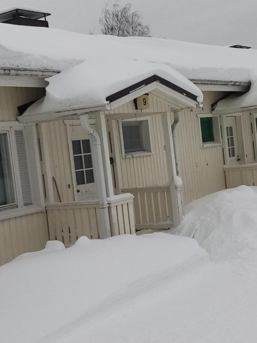 Koiranpesä - Housity