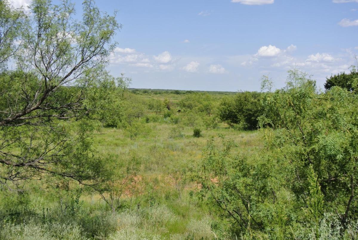Suitetrails - Rustic Red River Retreat