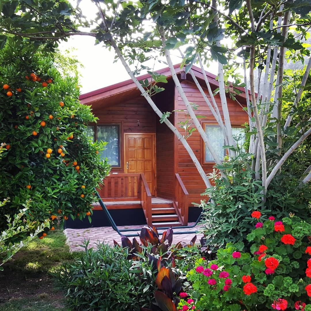 Asya Bungalow Çıralı - Housity