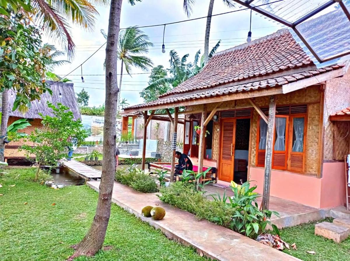 Paddies Homestay New - Housity
