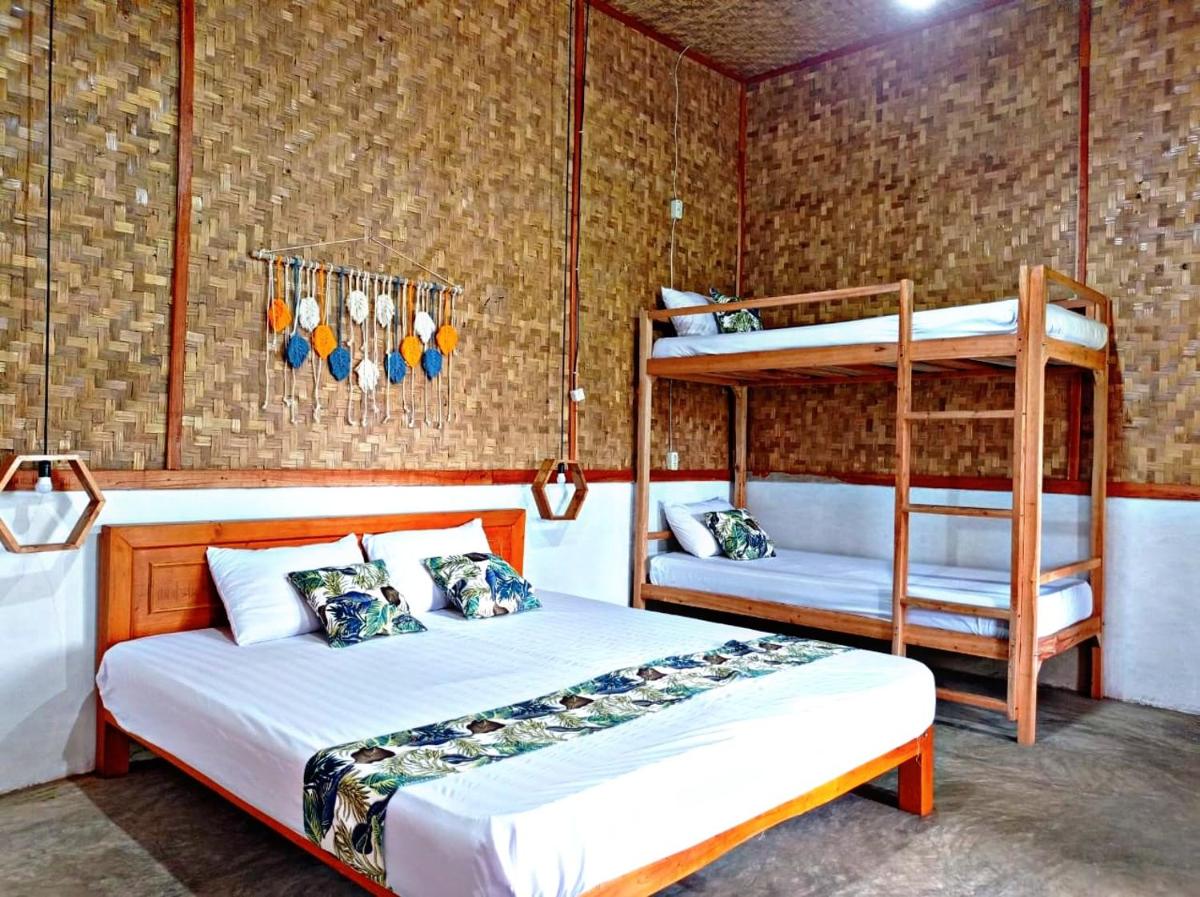 Paddies Homestay New - Housity