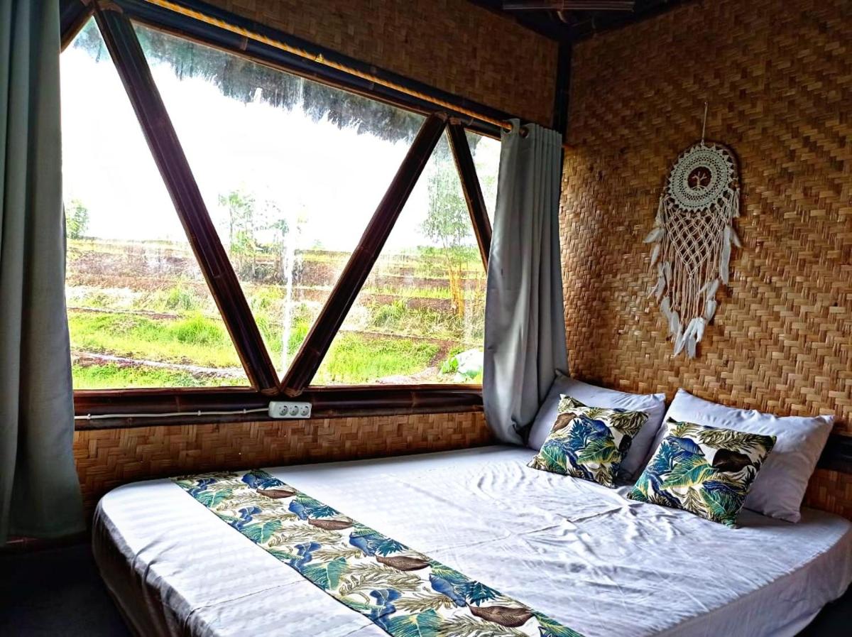 Paddies Homestay New - Housity