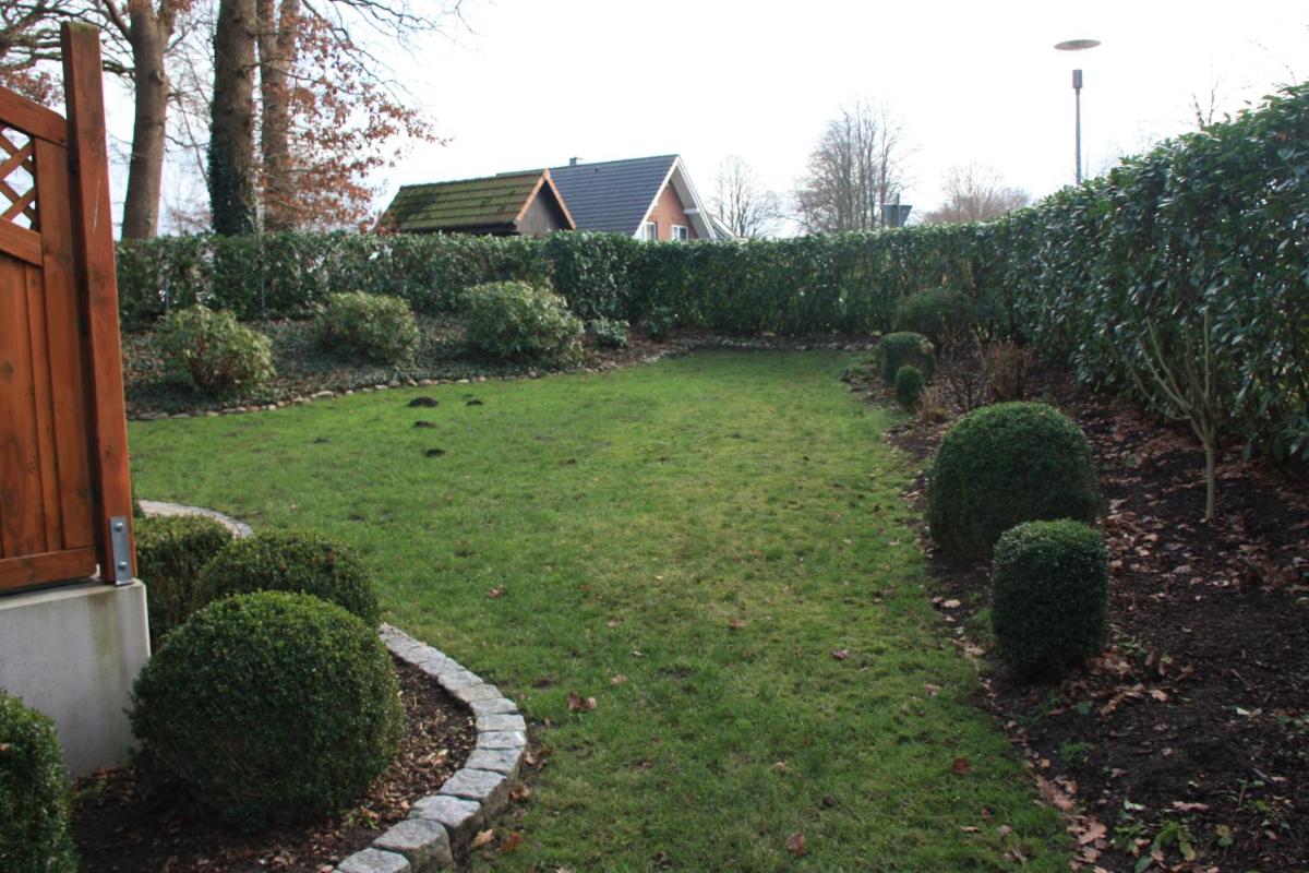 Ferienhaus Buchenblick - Housity