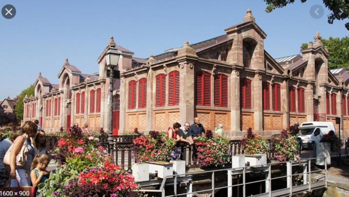 belle lauch - Housity