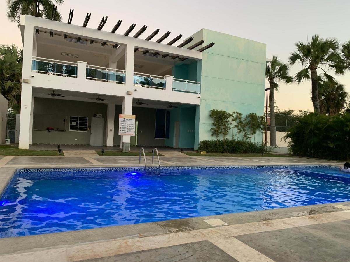Luxury real palm - Housity
