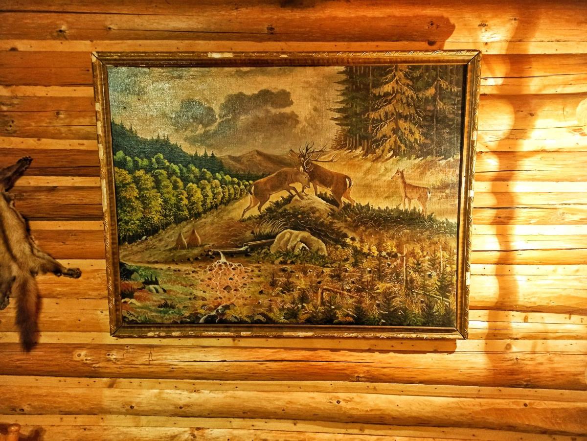 Еко Садиба Під Полониною - Housity