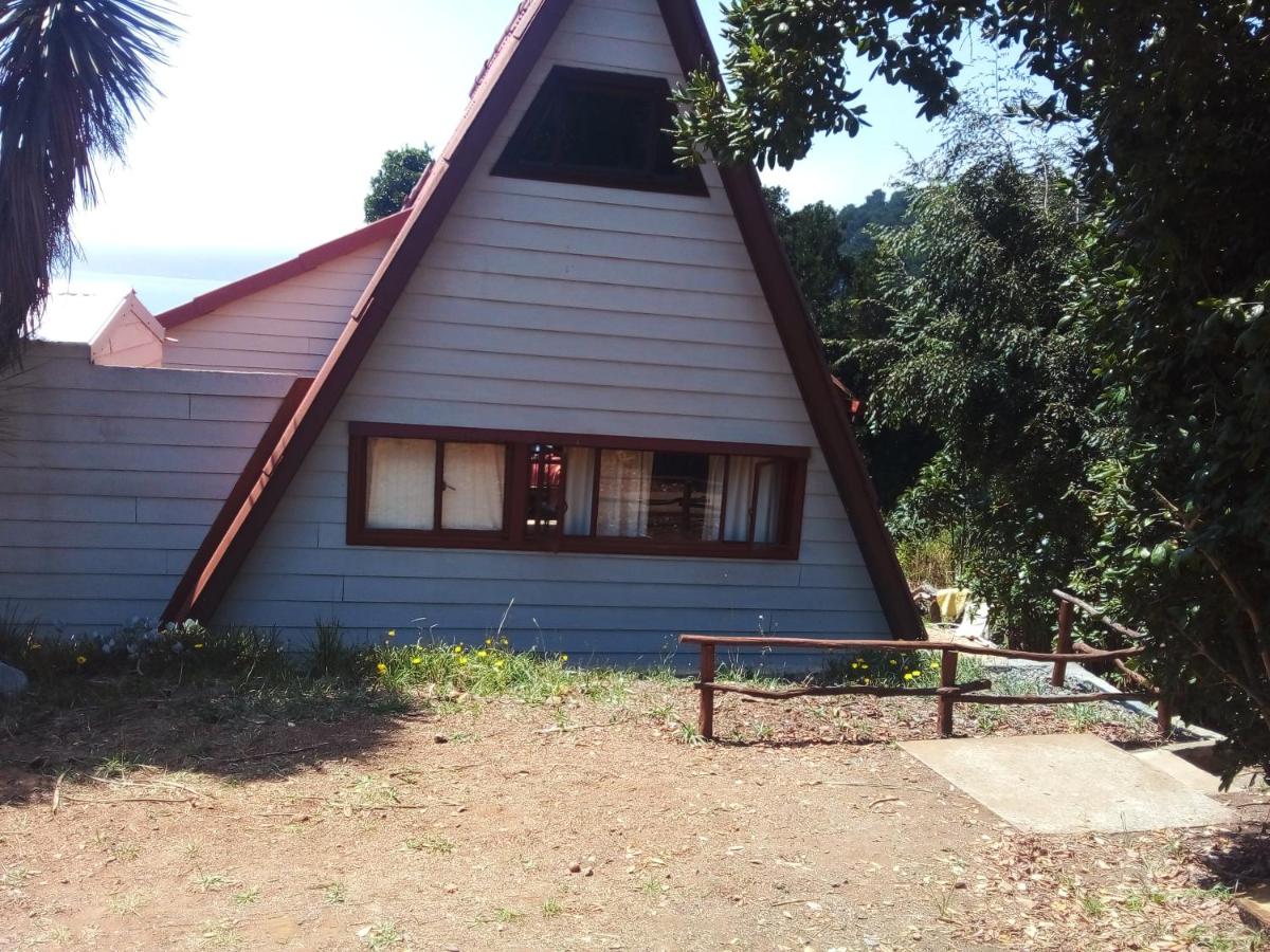 Alojha Coliumo Dichato - Housity