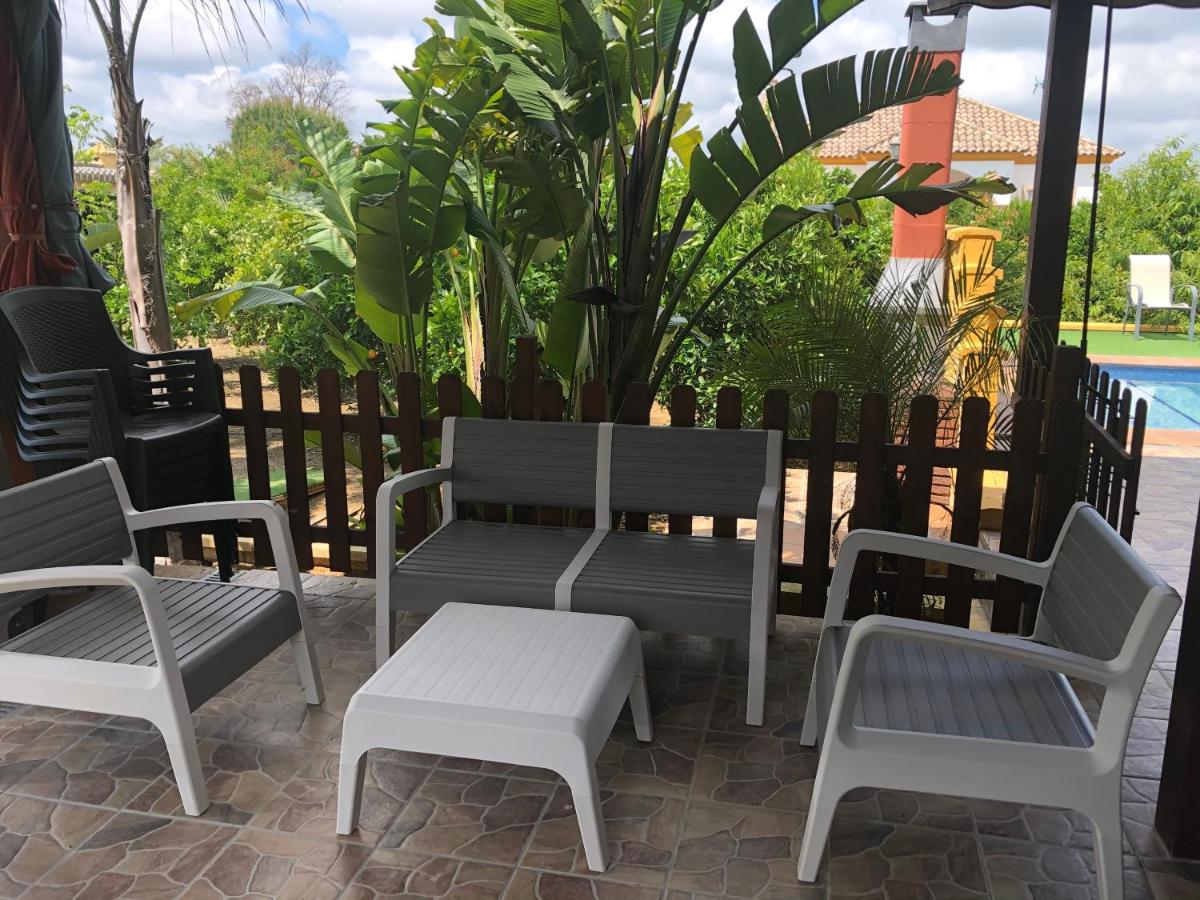 Chalet con piscina El Oasis del Palomar - Housity
