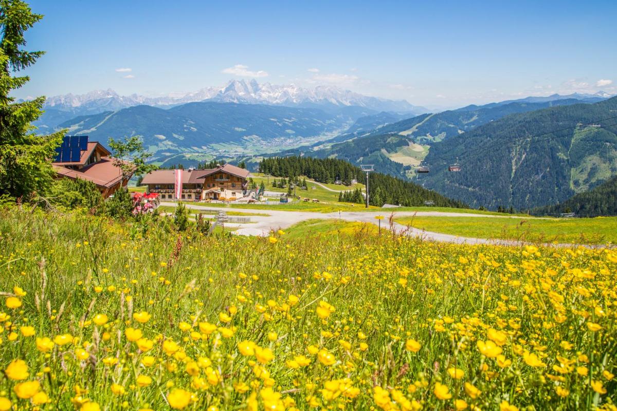 Gasthof Jandlalm - Housity