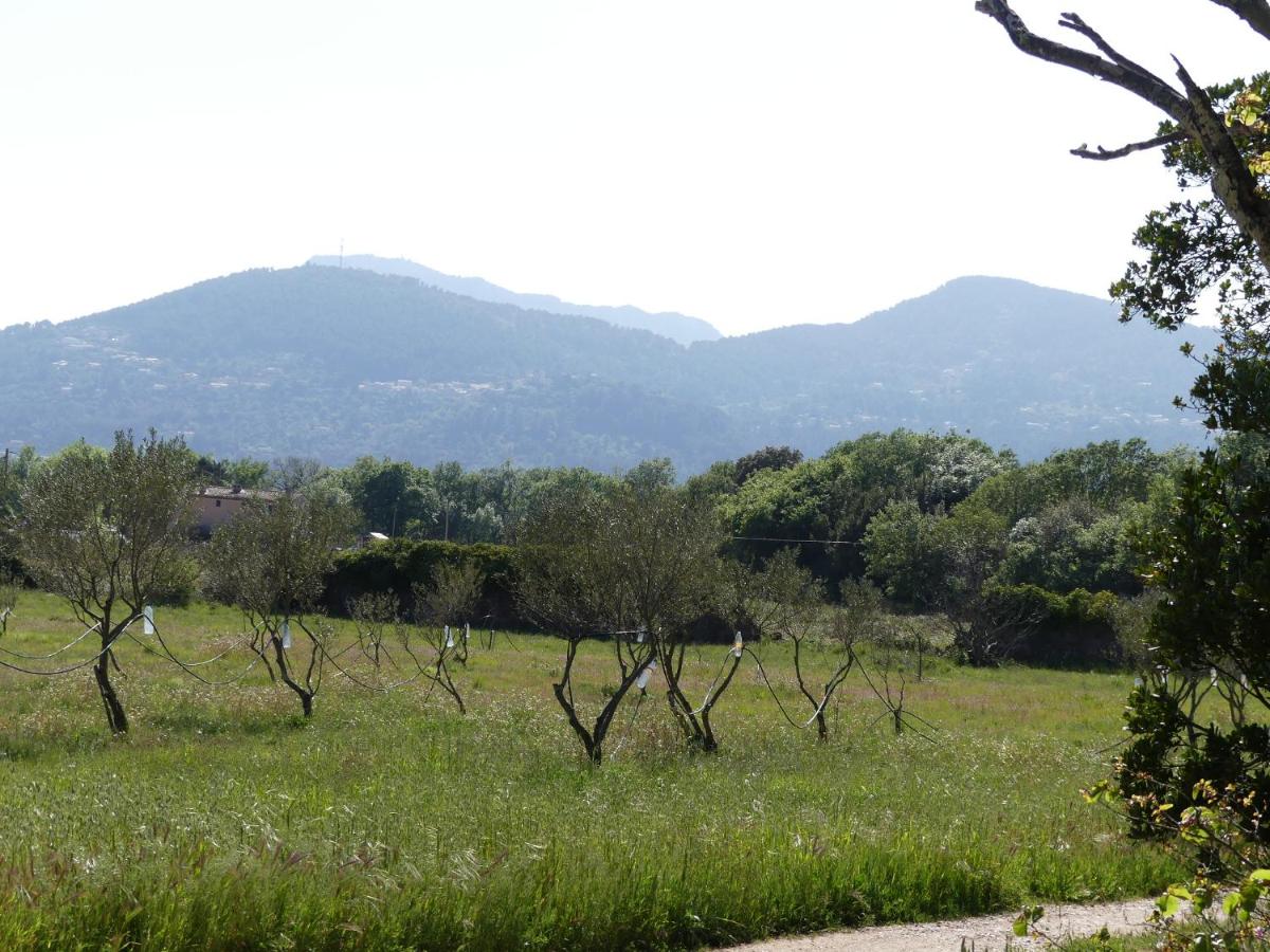 Le charme d'une vieille bastide provençale - Housity