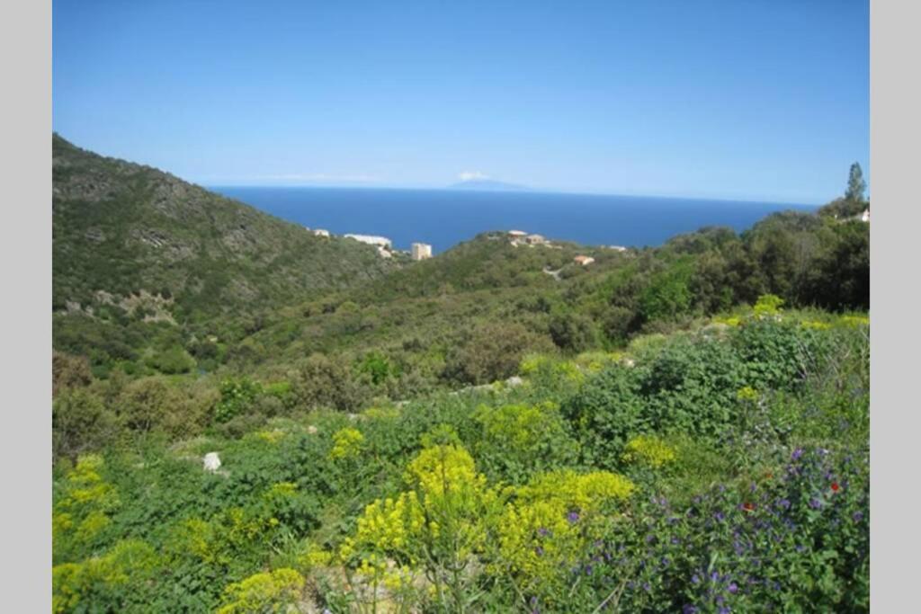 Bel appartement avec vue mer/ hauteurs de Bastia - Housity