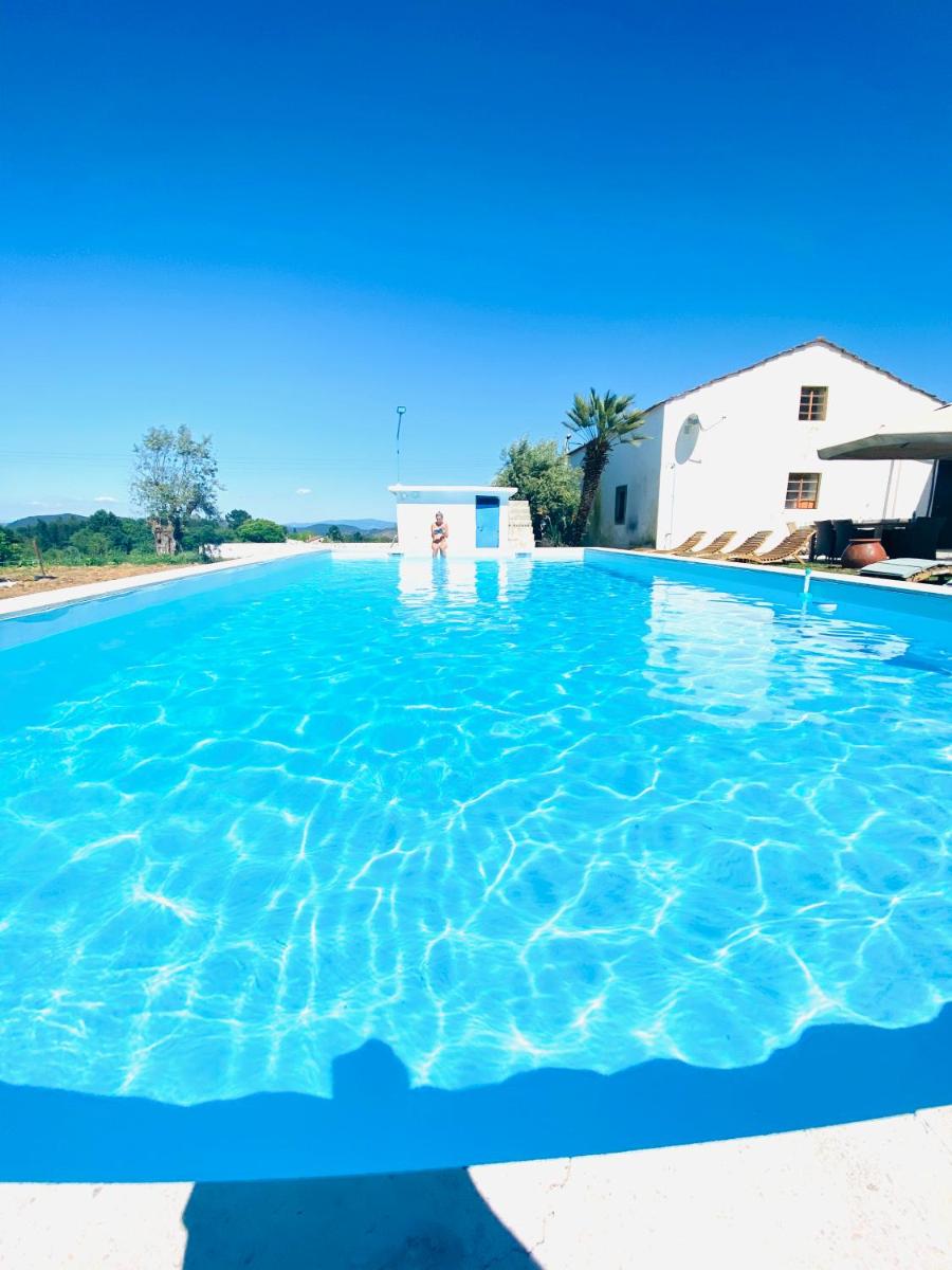 Manor de Azeitonas - Housity