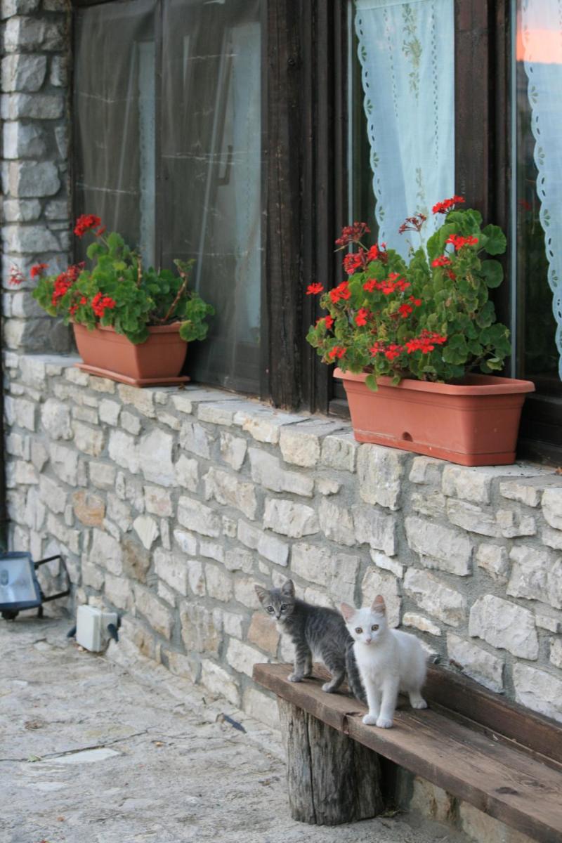 Agriturismo Capuano - Housity