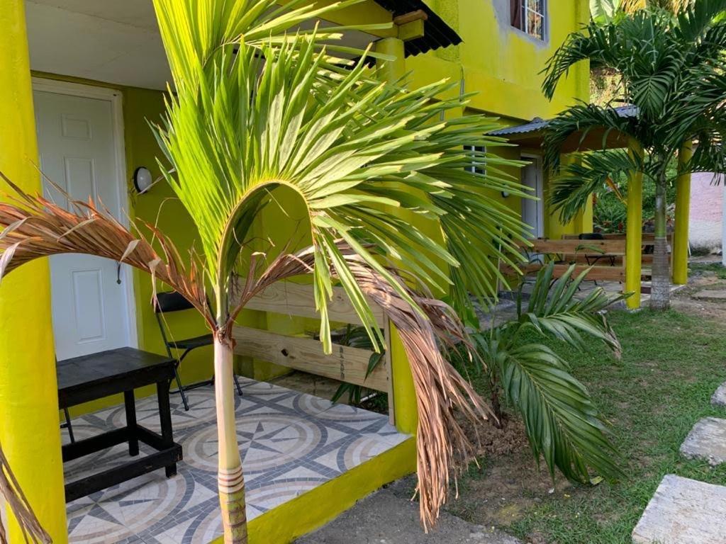 Tha Lagoon Spots CooL VyBz - Housity