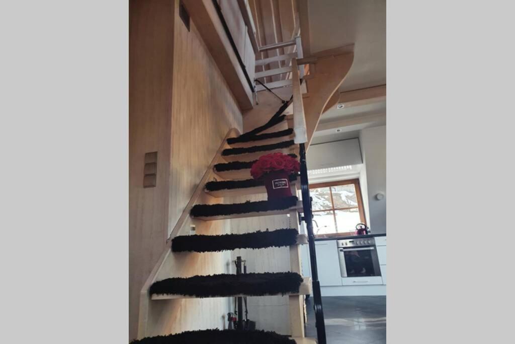 Apartament Pająkówka - Housity